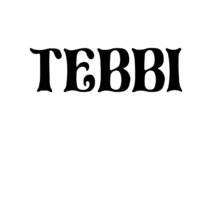 Tebbi Geigen- und Gitarrenatelier | gegründet 1980 Logo